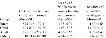 Image for - Morphological Features of Normal Human Skeletal Muscle in Different Age Groups: A Histological and Ultrastructural Study