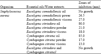 Image for - Antimicrobial Activity of Oils and Extracts ofCymbopogon citratus (Lemon Grass),Eucalyptus citriodora and Eucalyptus camaldulensis