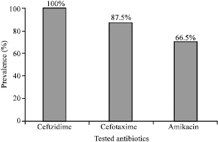 Image for - Microbiologic Findings in Patients with Chronic Suppurative Otitis Media
