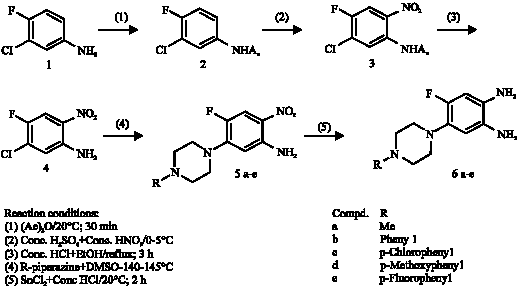 Image for - Fungicidal Effects of Some Derivatives of 2-Ferrocenyl-Benzimidazoles:  A Possible Template for Antifungal Drug Design