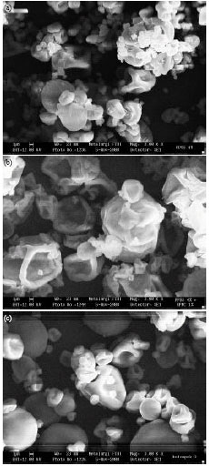 Image for - Study of Mucoadhesive Microspheres Based on Pregelatinized Cassava Starch Succinate as a New Carrier for Drug Delivery