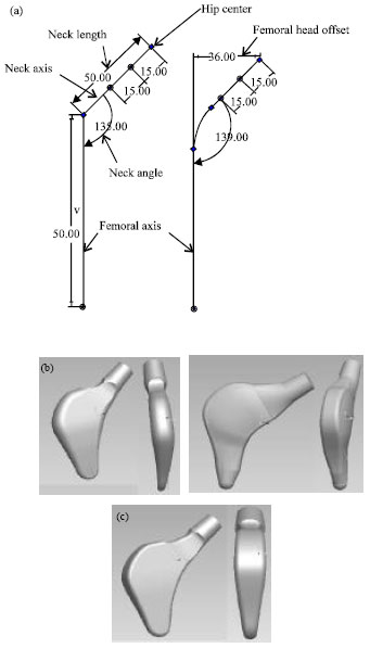 Image for - Design and Manufacture of Short stemless Femoral Hip Implant based on CT Images