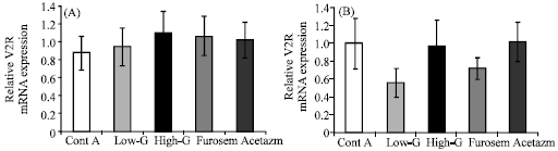 Image for - Effects of Gorei-san: A Traditional Japanese Kampo Medicine, on Aquaporin 1, 2, 3, 4 and V2R mRNA Expression in Rat Kidney and Forebrain