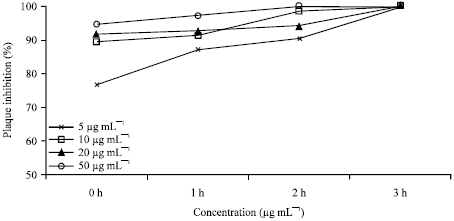 Image for - Inhibitory Effect of a Standard Extract of Zhumeria majdae Rech.f. and Wendelbo. against Herpes simplex-1 Virus