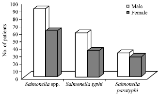 Image for - Prevalence and Antibiotic Susceptibility Patterns of Bloodstream Salmonella 
  Infections in a Tertiary Care Hospital, Dhaka