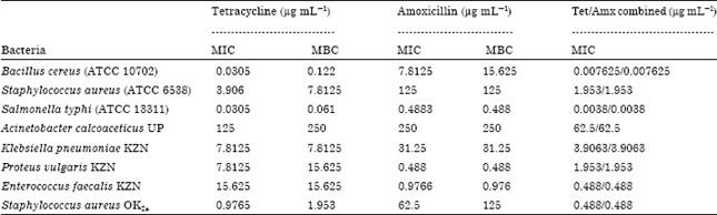 Image for - Synergistic Influence of Tetracycline on the Antibacterial Activities of Amoxicillin Against Resistant Bacteria