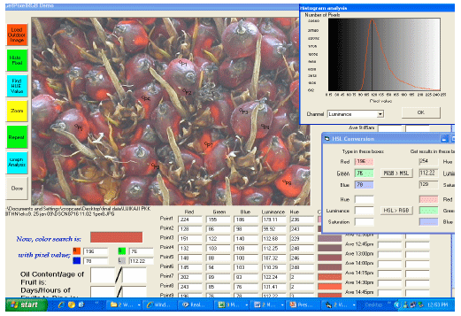 Image for - Parameter Acceptance of Software Development for Oil Palm Fruit Maturity Prediction