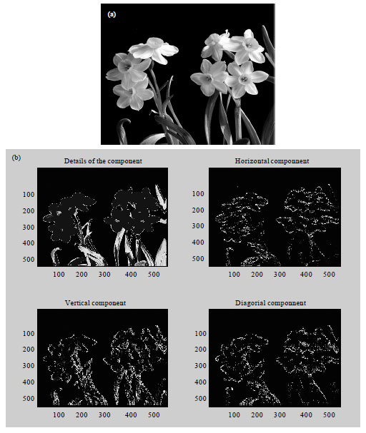 Image for - Image Copy-Move Forgery Blind Detection Algorithm Based on the Normalized  Histogram Multi-Feature Vectors
