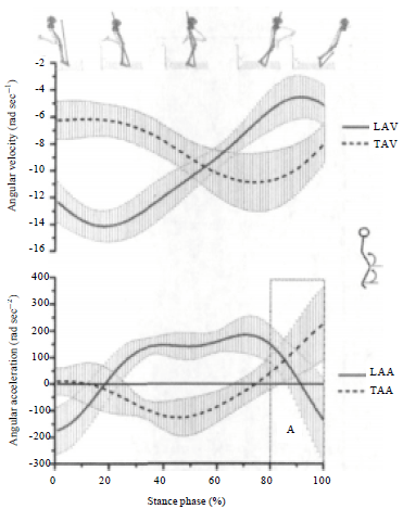 Image for - Biosensing Mechanical Analysis on Movement Control of Sprint Running