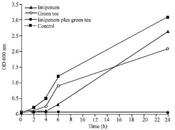 Image for - Synergism and Postantibiotic Effect of Green Tea Extract and Imipenem Against Methicillin-resistant Staphylococcus aureus