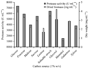 Image for - Characterization of Marine Streptomyces carpaticus and Optimization of Conditions for Production of Extracellular Protease