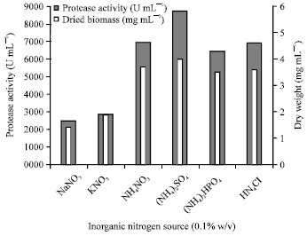 Image for - Characterization of Marine Streptomyces carpaticus and Optimization of Conditions for Production of Extracellular Protease