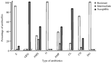 Image for - Rapid Identification of Eosine Methylene Blue Positive Escherichia coli  by Specific PCR from Frozen Chicken Rinse in Southern Chittagong City of Bangladesh:  Prevalence and Antibiotic Susceptibility