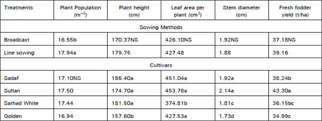 Image for - Fodder Yield and Quality of Four Cultivars of Maize (Zea mays L.) Under Different Methods of Sowing