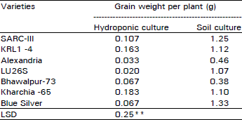 Image for - Wheat Varietal Behavior in Hydroponic and Soil Culture Under Saline Conditions
