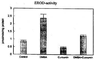 Image for - Curcumin and its Effect on Cytochrome P450 and GST in Toad Liver Tumor Induced by DMBA