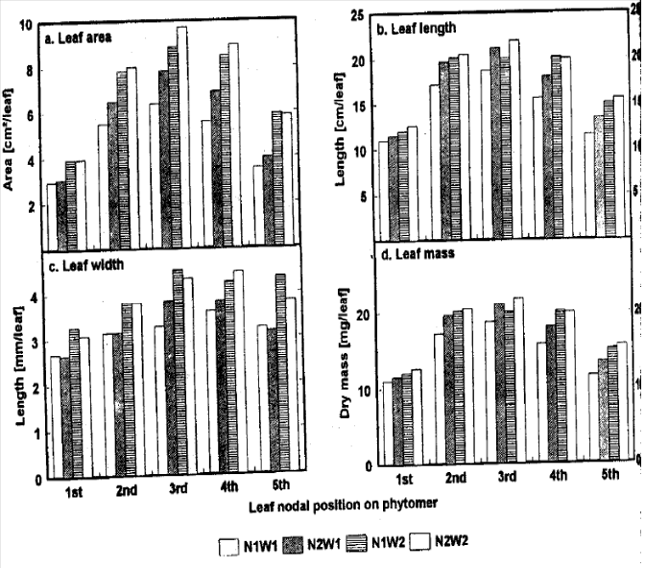 Image for - Influence of Water and Nitrogen Supply on Leaf Growth and Development at Different Nodal Position in Ryegrass (Lolium perenne L.)