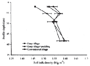 Image for - Soil Hydraulic Properties and Rice Root Development as Influenced by Tillage