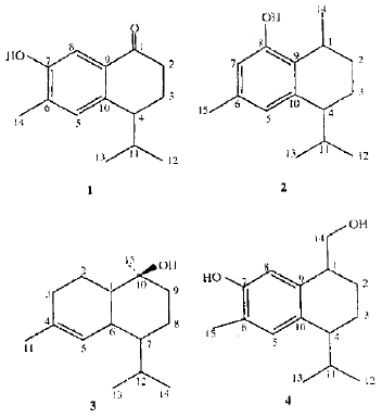 Image for - Sesquiterpenes from Siparauna macrotepala