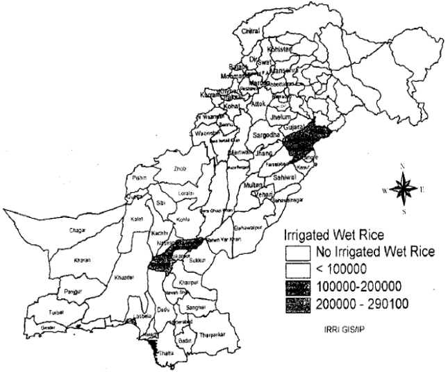 Image for - Rice Insect Pests of Pakistan and Their Control: A Lesson from past for Sustainable Future Integrated Pest Management