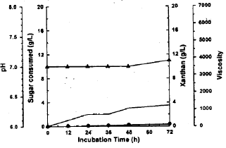 Image for - Xanthan production from whey treated with immobilized lactase