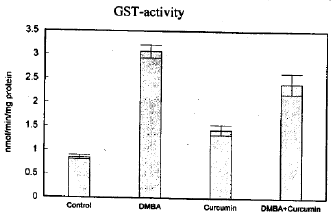 Image for - Curcumin and its Effect on Cytochrome P450 and GST in Toad Liver Tumor Induced by DMBA
