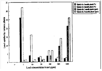 Image for - Lead Pollution Levels in Sultanate of Oman and its Effect on Plant Growth and Development