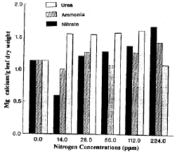 Image for - Nitrogen Source and the Growth of Date Palm Seedlings