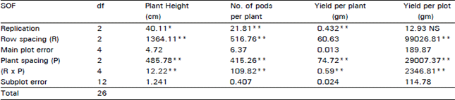 Image for - Effect of Inter and Intra Row Spacing on the Yield and Yield Components of Chickpea