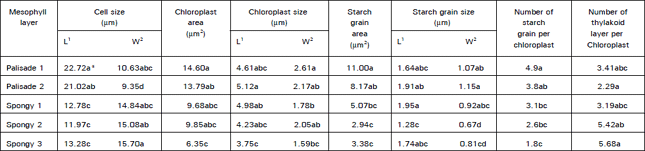 Image for - Development of Chloroplast in the Mesophyll Cells of Satsuma Mandarin Foliar Sprayed with Urea