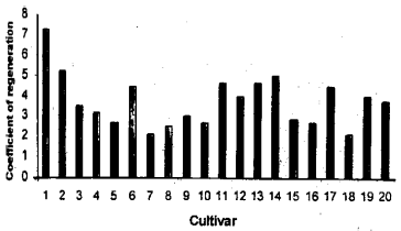 Image for - Effect of Gamma Radiation on Nucellar Embroyogenesis of Various Citrus Cultivars