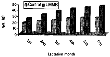 Image for - Effect of Pre and Postpartum Supplementation of Cows with Urea Molasses Multinutrient Blocks (UMMB) on the Performance of Their Calves