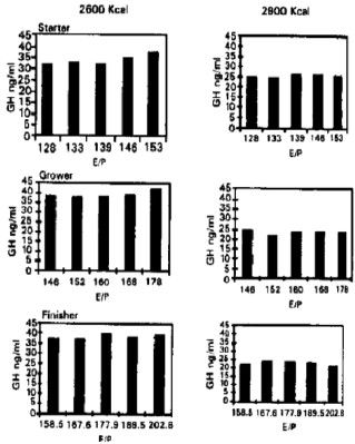 Image for - Effects of Different Dietary Energy and Protein Ratios on Plasma Concentrations of Growth Hormone, Thyroxine  and Triiodothyronine in Broilers