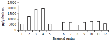 Image for - Efficiency of Different Chemical and Physical Agents for Curing of Plasmid/s from Salt Tolerant Bacterial Strains