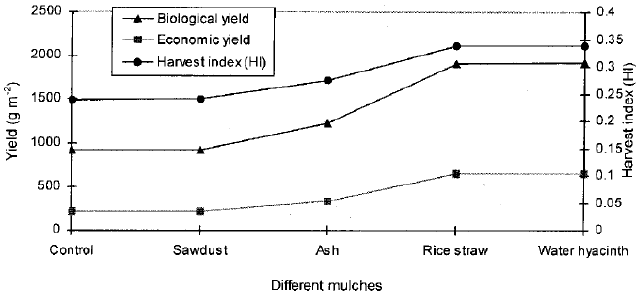 Image for - Mulch Induced Eco-physiological Growth and Yield of Maize