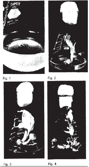 Image for - In vitro Multiplication of Banana c.v. Desi