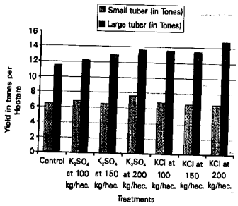 Image for - The Effect of Sulphate of Potash (SOP) Versus Muriate of Potash (MOP) on the Yield of Potato (Solanum tuberosum L.) Crop