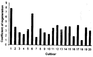 Image for - Effect of Gamma Radiation on Nucellar Embroyogenesis of Various Citrus Cultivars