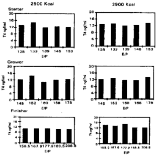 Image for - Effects of Different Dietary Energy and Protein Ratios on Plasma Concentrations of Growth Hormone, Thyroxine  and Triiodothyronine in Broilers