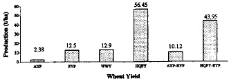 Image for - Wheat Yield Potential-Current Status and Future Strategies