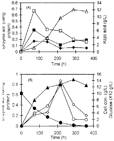 Image for - Influence of pH on Kojic Acid Fermentation by Aspergillus flavus 