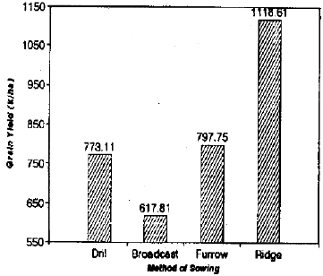 Image for - Influence of Sowing Methods on the Productivity of Canola Grown in Saline Field