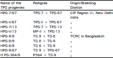 Image for - Field Performance and Character Association of True Potato Seed (TPS) Progenies