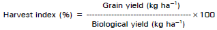 Image for - Grain Yield Potential of Lentils Germplasm