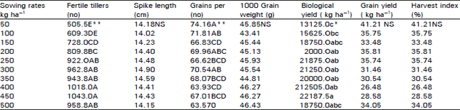 Image for - Effect of Sowing Rates on the Grain Yield of Wheat Variety Punjab-96
