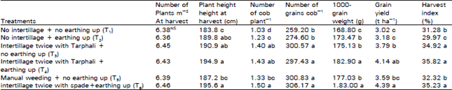 Image for - Effect of Different Intertillage Practices on Growth and Yield of Spring Maize