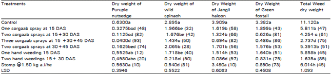 Image for - Efficacy of Sorgaab as Natural Weed Inhibitor in Raya