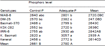 Image for - Genetic Variation for Phosphorus Use in Rice at Two Levels of Soil Applied Phosphorus