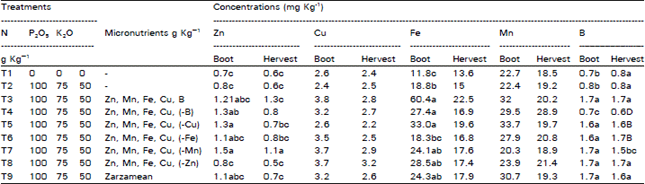 Image for - Effect of Zinc, Copper, Iron, Manganese and Boron on the Yield and Yield Components of Wheat Crop in Tehsil Peshawar