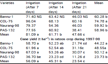 Image for - Response of Sugar Cane Varieties to Different Irrigation Intensities